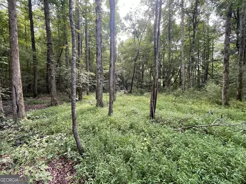 0 County Road 689, Ranburne, GA 30217 photo 9