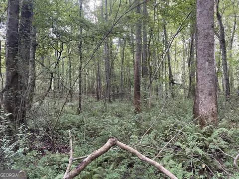 0 County Road 689, Ranburne, GA 30217 photo 35