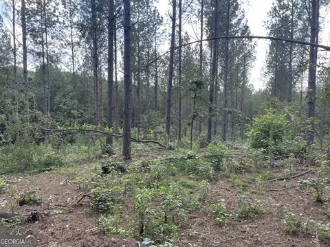 0 County Road 689, Ranburne, GA 30217 photo 39