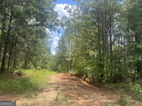 0 County Road 689, Ranburne, GA 30217 photo 46
