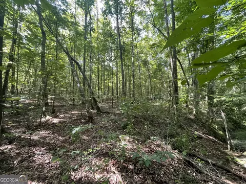 0 County Road 689, Ranburne, GA 30217 photo 33
