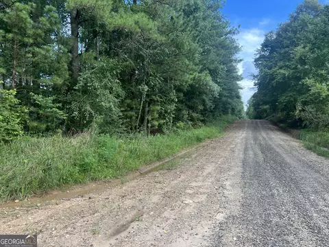 0 County Road 689, Ranburne, GA 30217 photo 43
