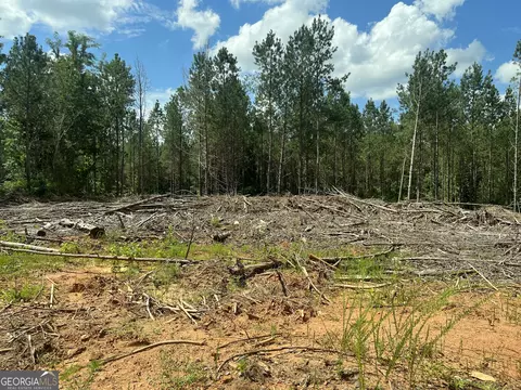 0 County Road 689, Ranburne, GA 30217 photo 47