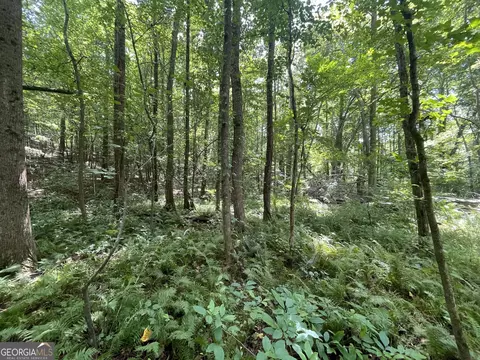 0 County Road 689, Ranburne, GA 30217 photo 11