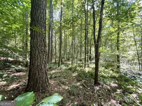 0 County Road 689, Ranburne, GA 30217 photo 42