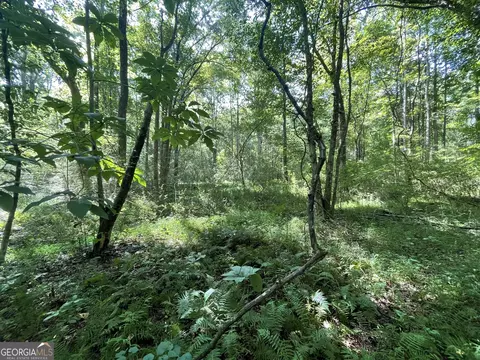 0 County Road 689, Ranburne, GA 30217 photo 36