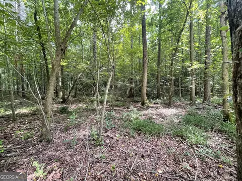 0 County Road 689, Ranburne, GA 30217 photo 10