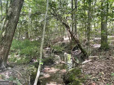 0 County Road 689, Ranburne, GA 30217 photo 6