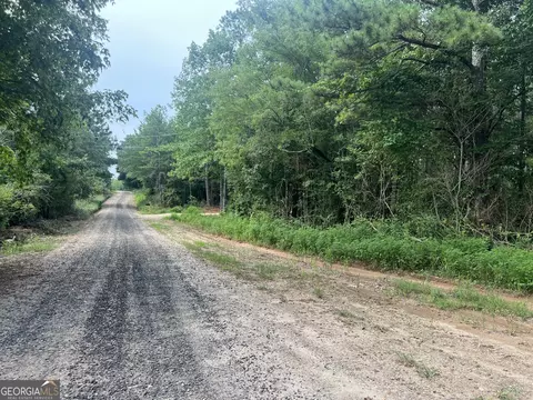 0 County Road 689, Ranburne, GA 30217 photo 44