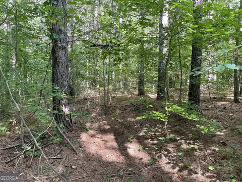 0 County Road 689, Ranburne, GA 30217 photo 31