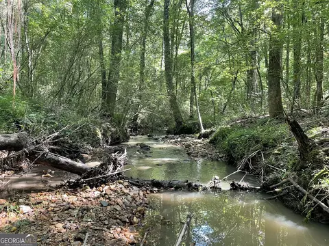 0 County Road 689, Ranburne, GA 30217