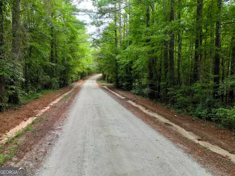 749 Chuli Rd, Locust Grove, GA 30248 photo 19