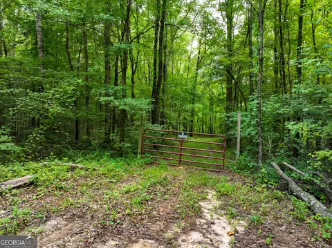 749 Chuli Rd, Locust Grove, GA 30248 photo 20