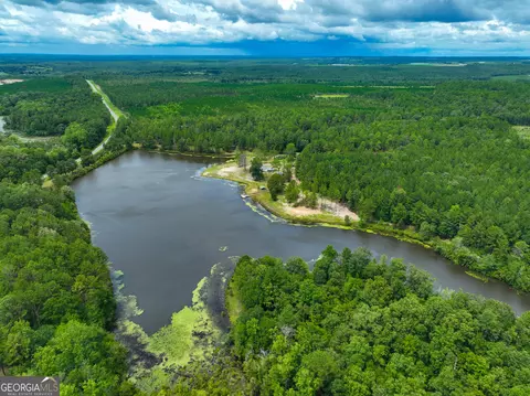 188 Lake Henry Rd, Roberta, GA 31078