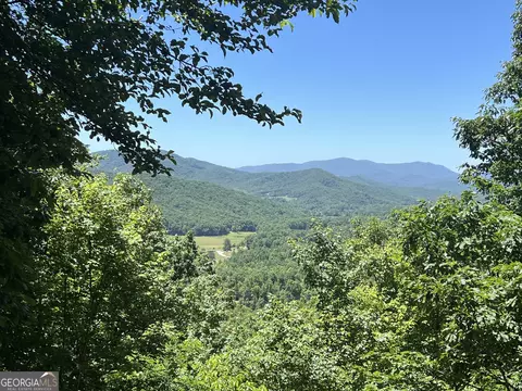 0 Forest Dr, Morganton, GA 30560