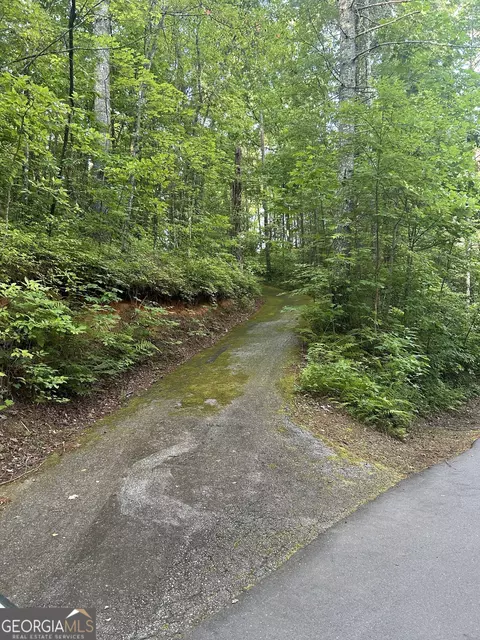 0 Hidden Falls Dr, Tiger, GA 30576 photo 4