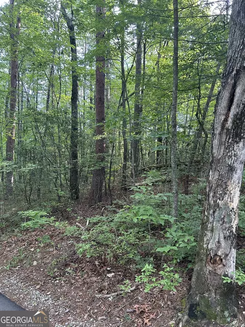 0 Hidden Falls Dr, Tiger, GA 30576 photo 5