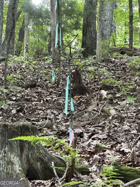 lot12 Picklesimer Mountain Rd, Morganton, GA 30560