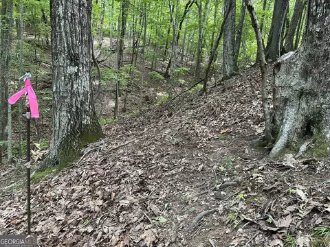 lot13 Picklesimer Mountain Rd, Morganton, GA 30560