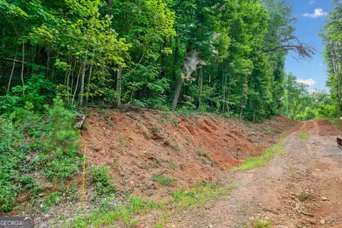 45 Firetower Rd, Jasper, GA 30143 photo 6