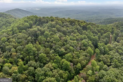 45 Firetower Rd, Jasper, GA 30143 photo 11