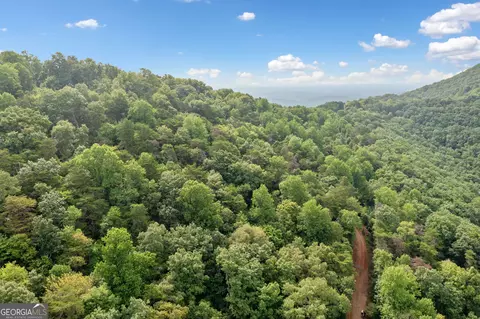 45 Firetower Rd, Jasper, GA 30143 photo 14