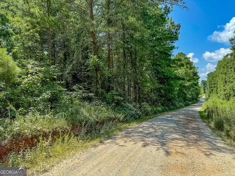 314 Teague Road Apt Rd #(TRACT II), Waco, GA 30182 photo 10