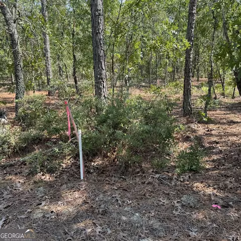 0 Hwy 46, Twin City, GA 30471