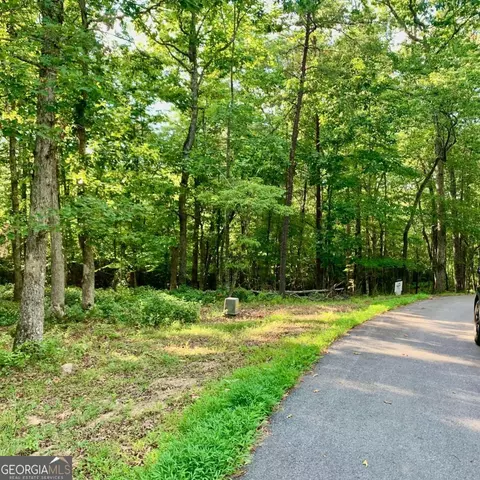Undisclosed, Warne, NC 28909 photo 10