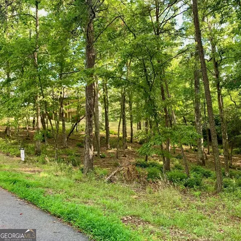 Undisclosed, Warne, NC 28909 photo 13