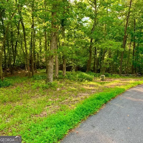 Undisclosed, Warne, NC 28909 photo 11