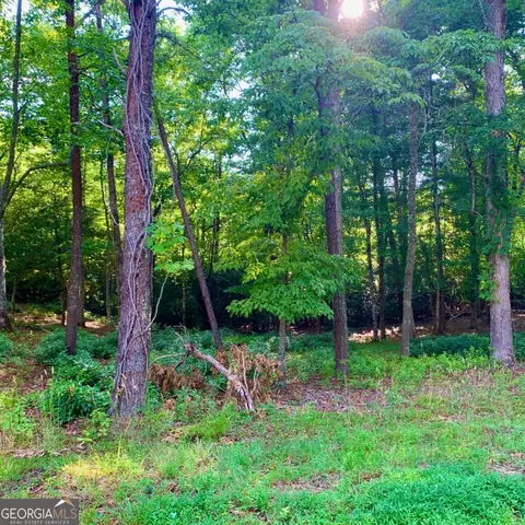 Undisclosed, Warne, NC 28909 photo 12
