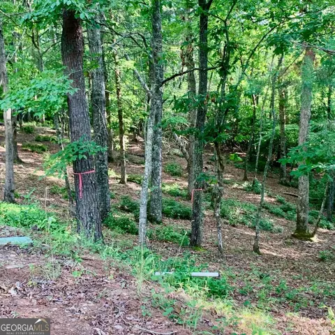 Undisclosed, Warne, NC 28909 photo 4