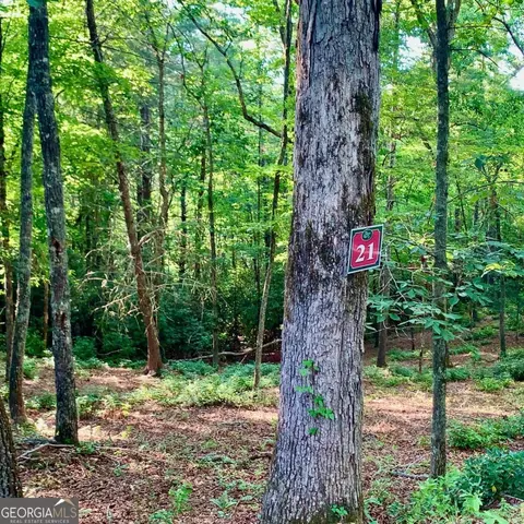 Undisclosed, Warne, NC 28909 photo 6