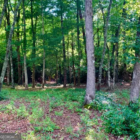 Undisclosed, Warne, NC 28909 photo 9