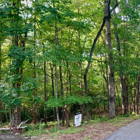 Undisclosed, Warne, NC 28909 photo 8
