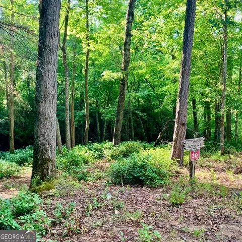 Undisclosed, Warne, NC 28909 photo 3