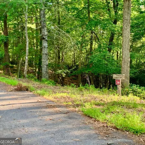 Undisclosed, Warne, NC 28909 photo 2