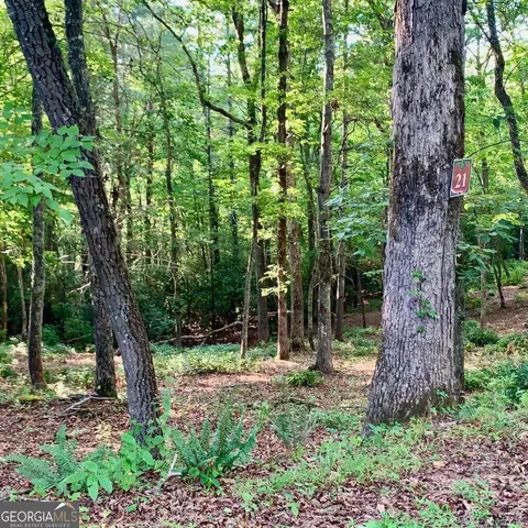 Undisclosed, Warne, NC 28909 photo 5