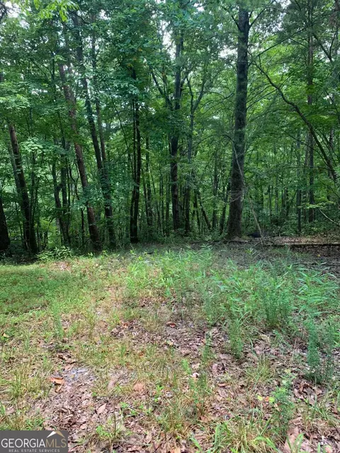 0 Lark Ct, Jasper, GA 30143 photo 4