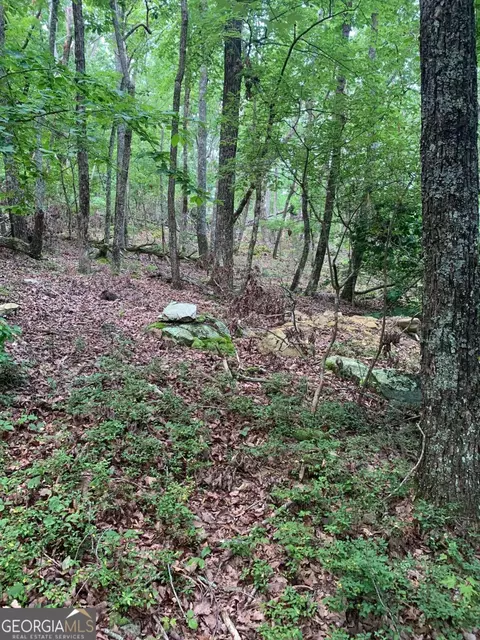 0 Lark Ct, Jasper, GA 30143 photo 3