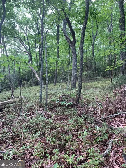 0 Lark Ct, Jasper, GA 30143 photo 5
