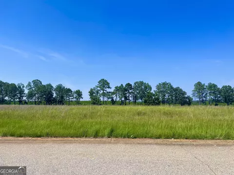 lot36 Crabapple Dr, Hawkinsville, GA 31036