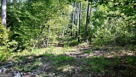 20 Bagley, Forsyth, GA 31029 photo 10