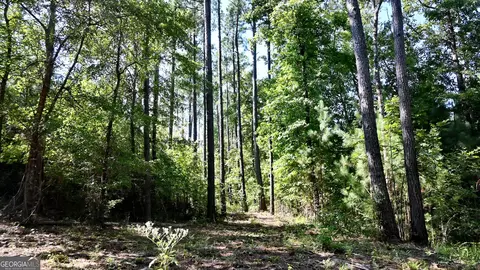 20 Bagley, Forsyth, GA 31029 photo 7