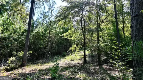 20 Bagley, Forsyth, GA 31029 photo 8