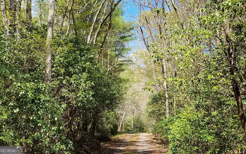 Other - 1171 Picklesimer Rd, Morganton, GA 30560 photo 3 of 27