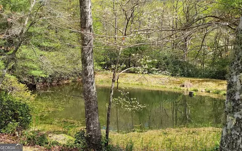View/Area - 1171 Picklesimer Rd, Morganton, GA 30560 photo 2 of 2