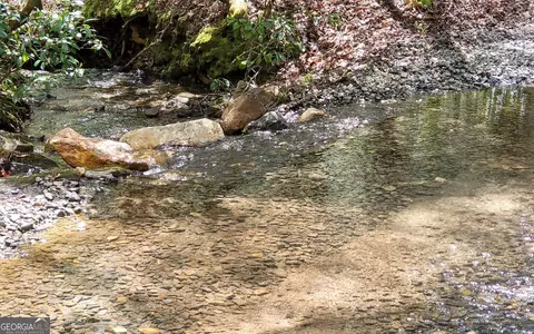 Other - 1171 Picklesimer Rd, Morganton, GA 30560 photo 25 of 27
