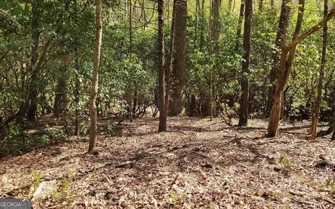 Other - 1171 Picklesimer Rd, Morganton, GA 30560 photo 26 of 27